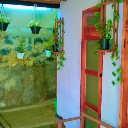 Ella Kumi Hostel Luaran gambar