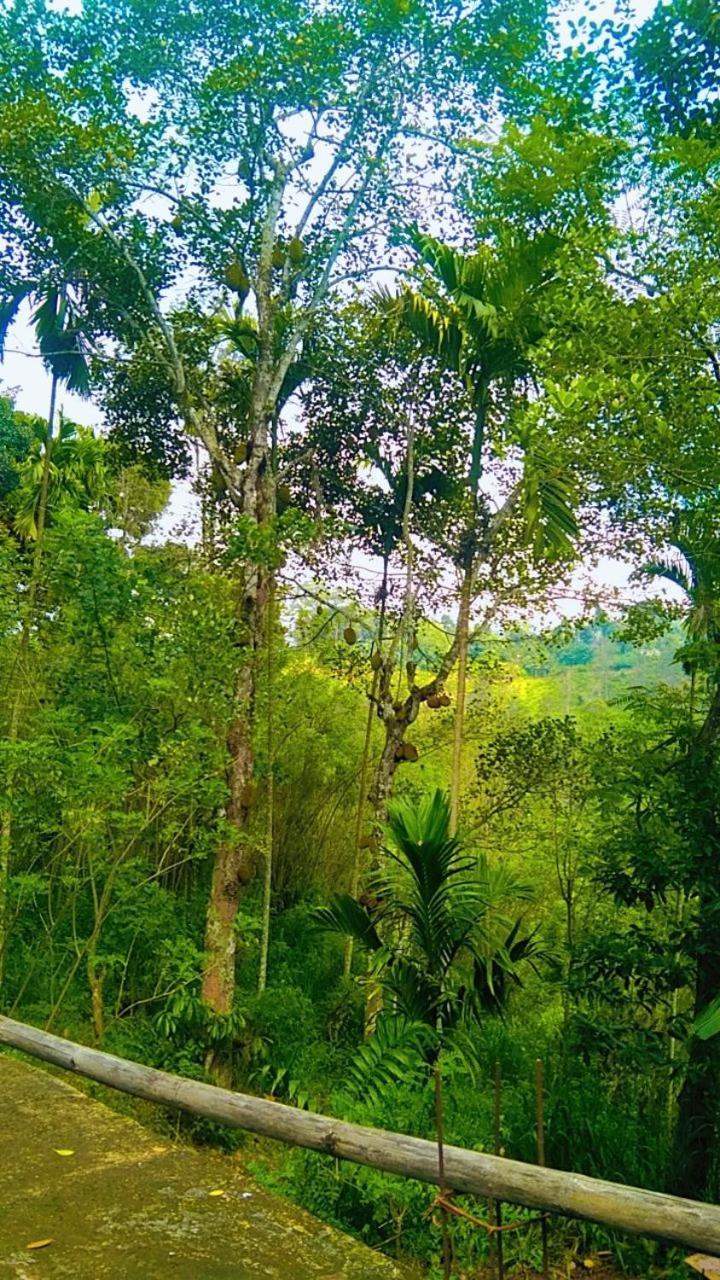 Ella Kumi Hostel Luaran gambar