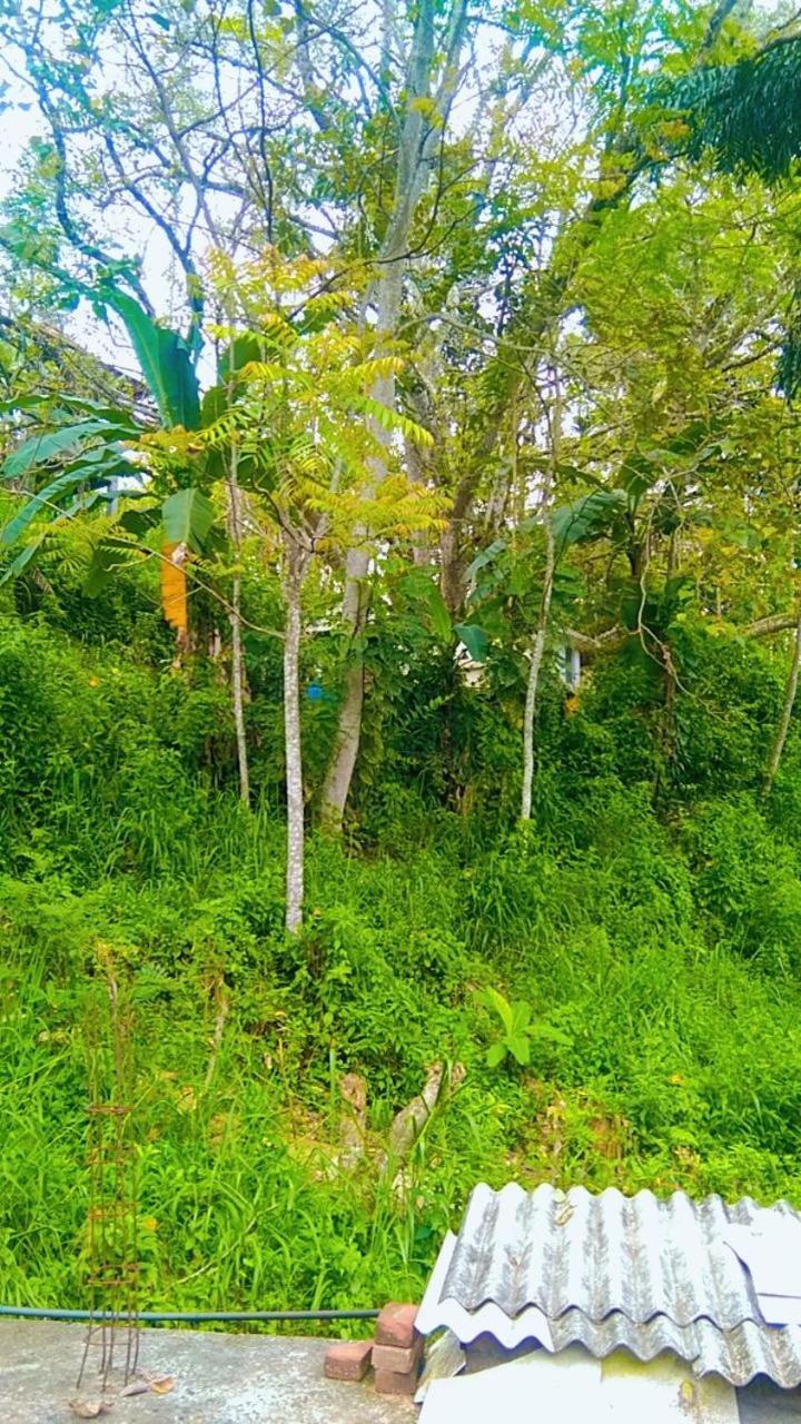 Ella Kumi Hostel Luaran gambar