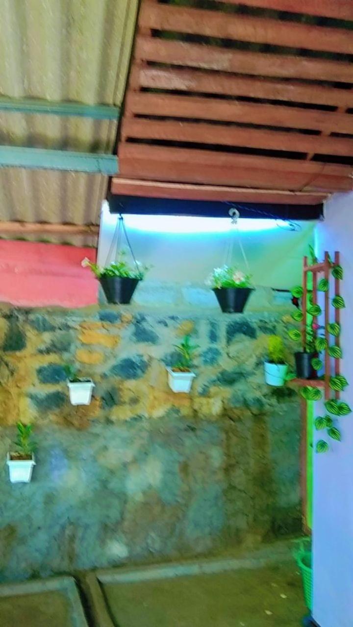 Ella Kumi Hostel Luaran gambar